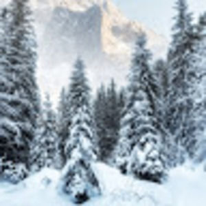 Meet your Posher, Nicora